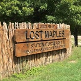 Review photo of Lost Maples State Natural Area by Austin S., September 15, 2021