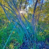 Review photo of Lost Maples State Natural Area by Austin S., September 15, 2021