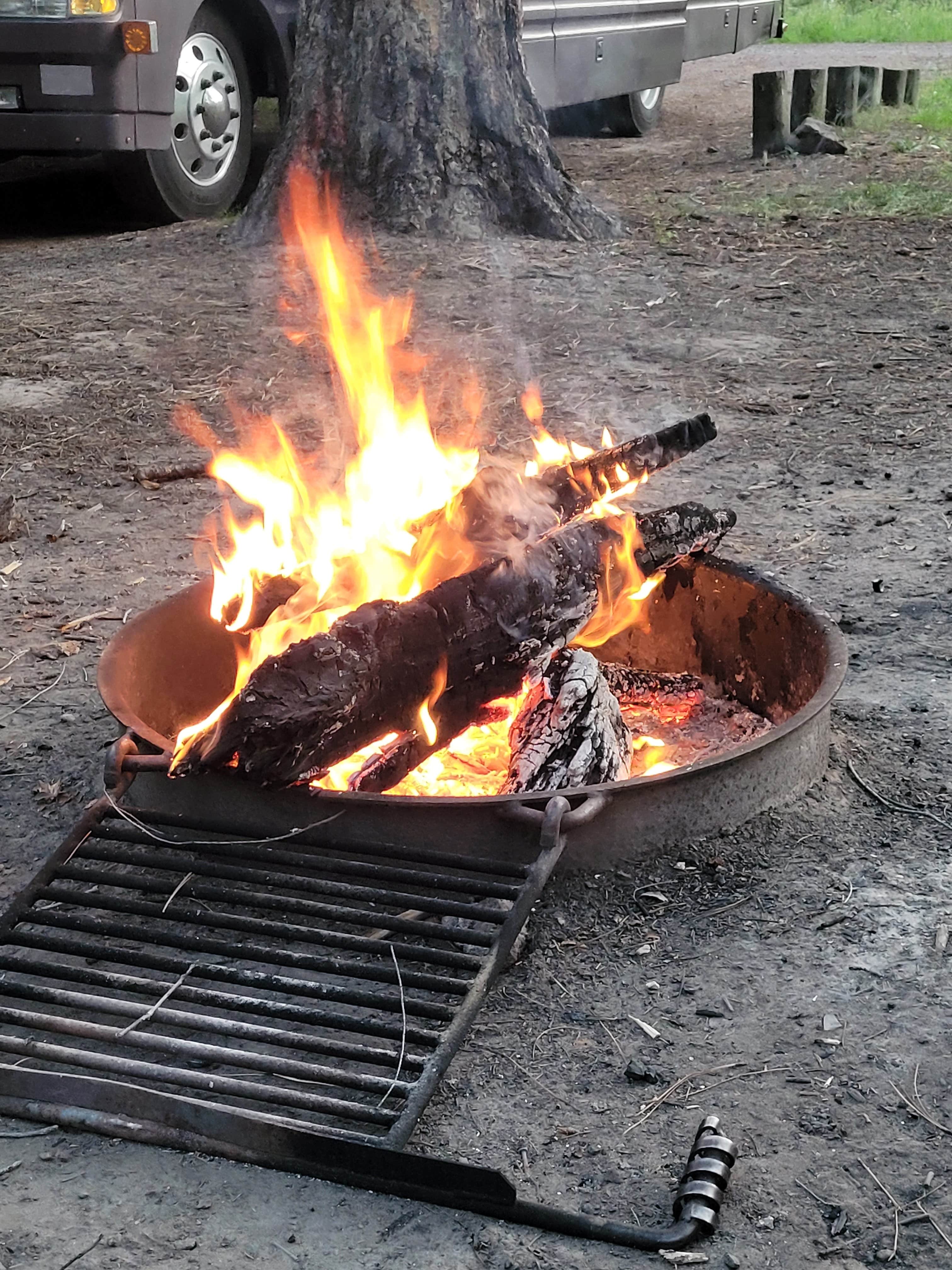 Camper submitted image from Alpine Divide Campground - 1