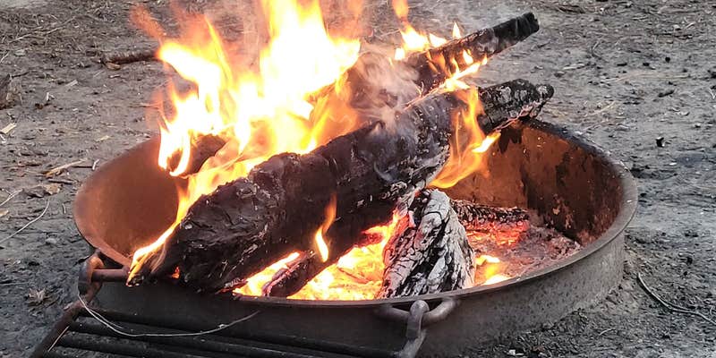 Camper submitted image from Alpine Divide Campground