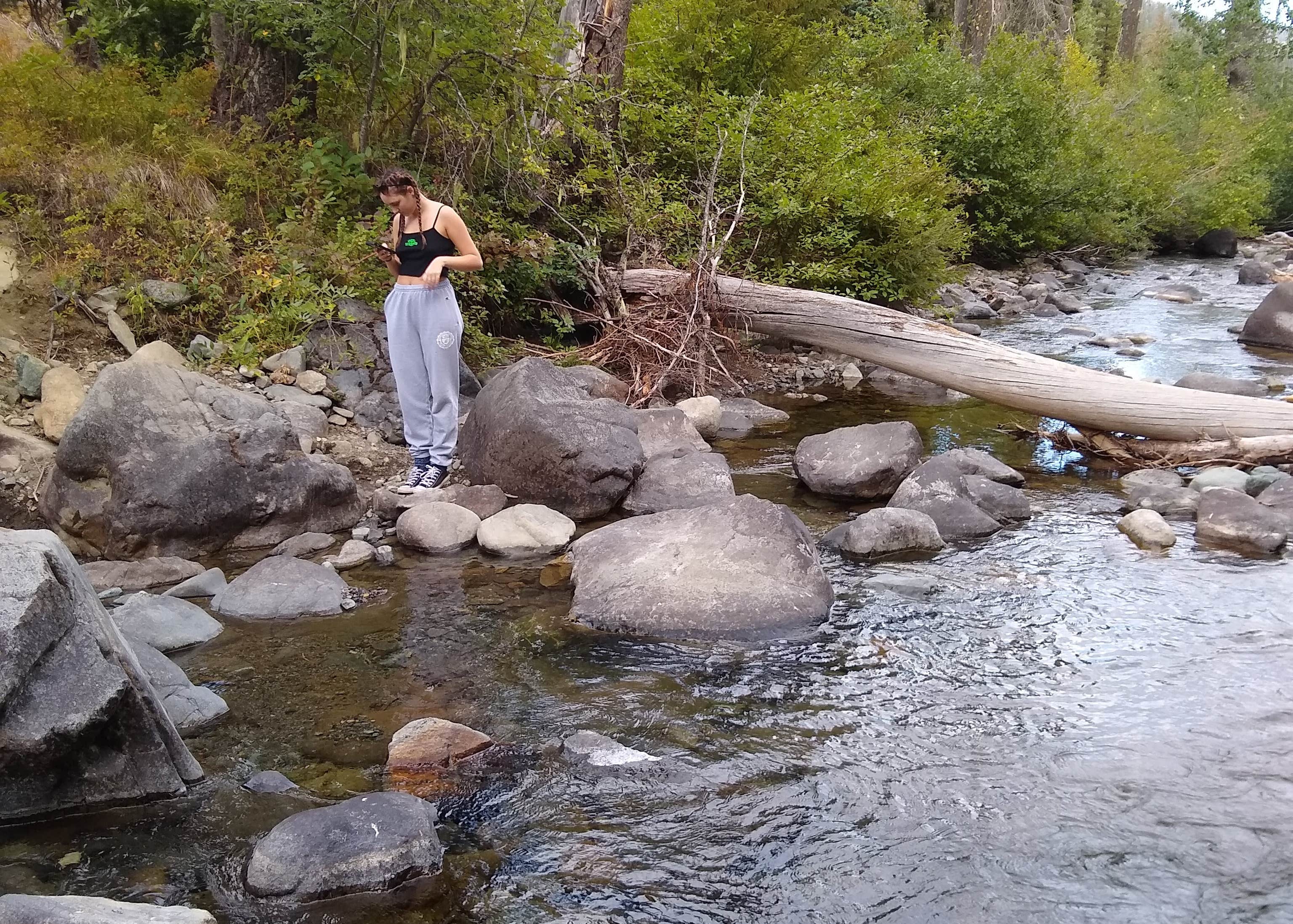 North Fork Teanaway River Dispersed Camping The Dyrt