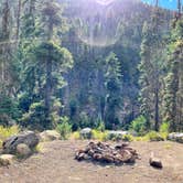 Review photo of North Fork Teanaway River - Dispersed by Don , September 15, 2021