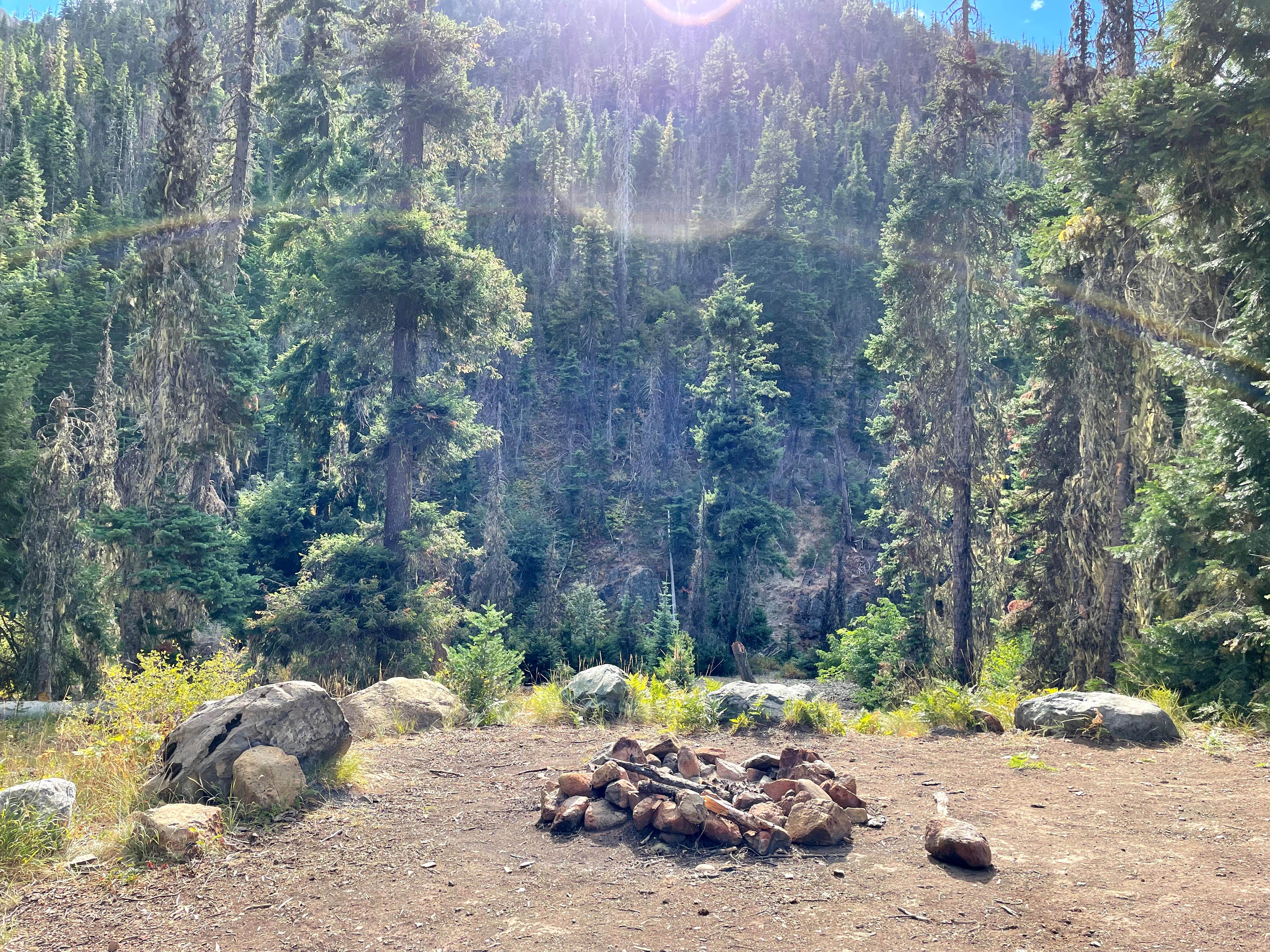 Camper submitted image from North Fork Teanaway River - Dispersed - 2