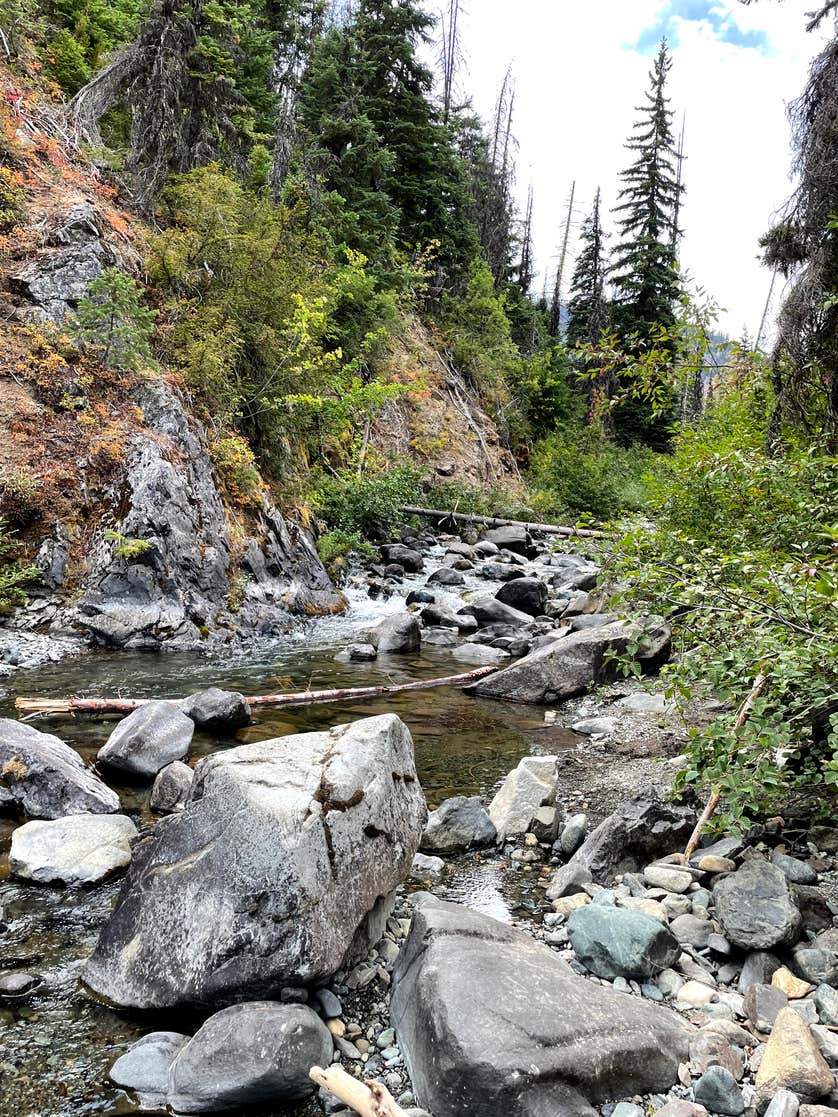 North Fork Teanaway River - Dispersed Camping | The Dyrt