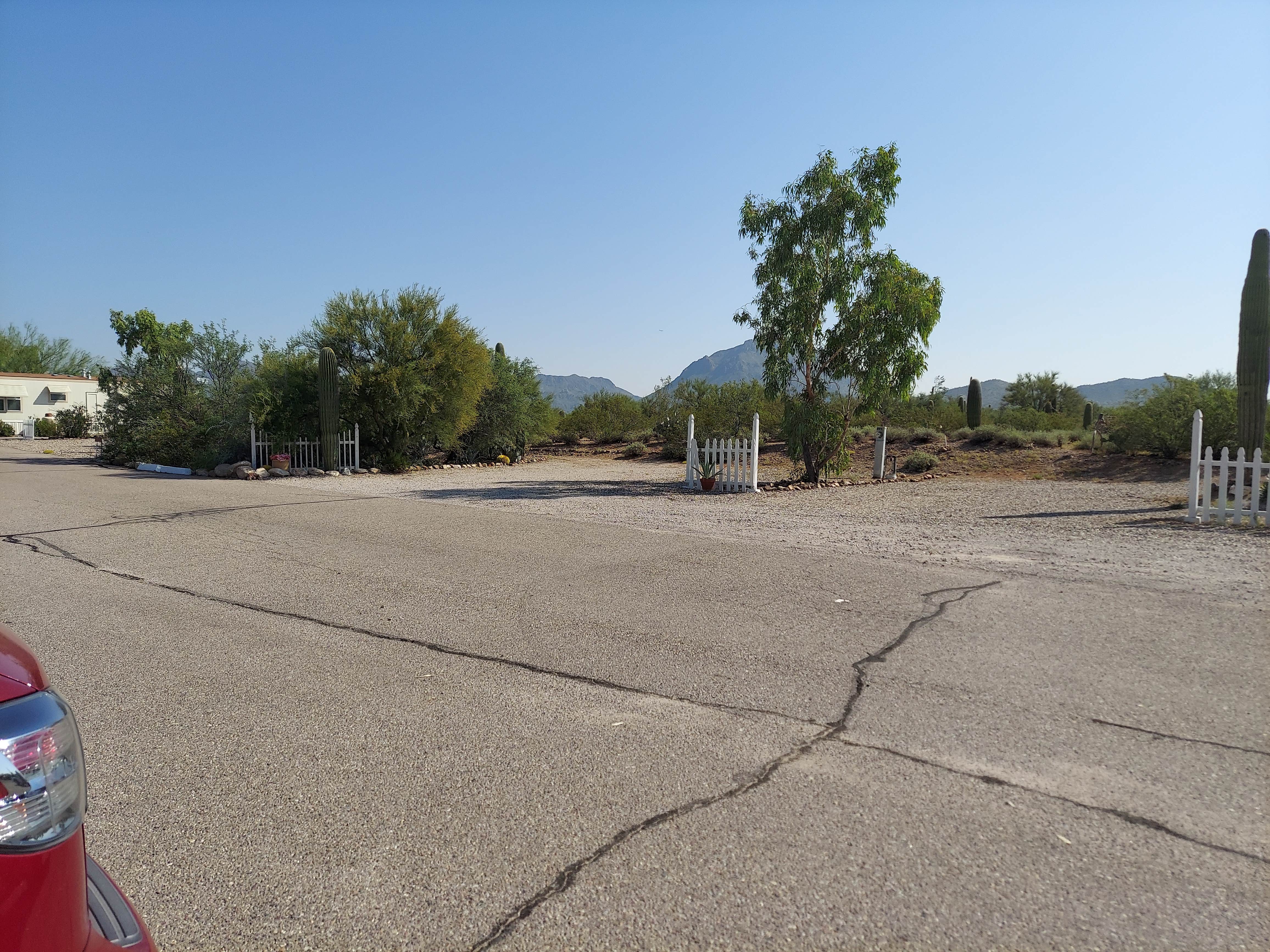 Camper-submitted photo at Justin's Diamond J RV Park near Oro Valley, AZ