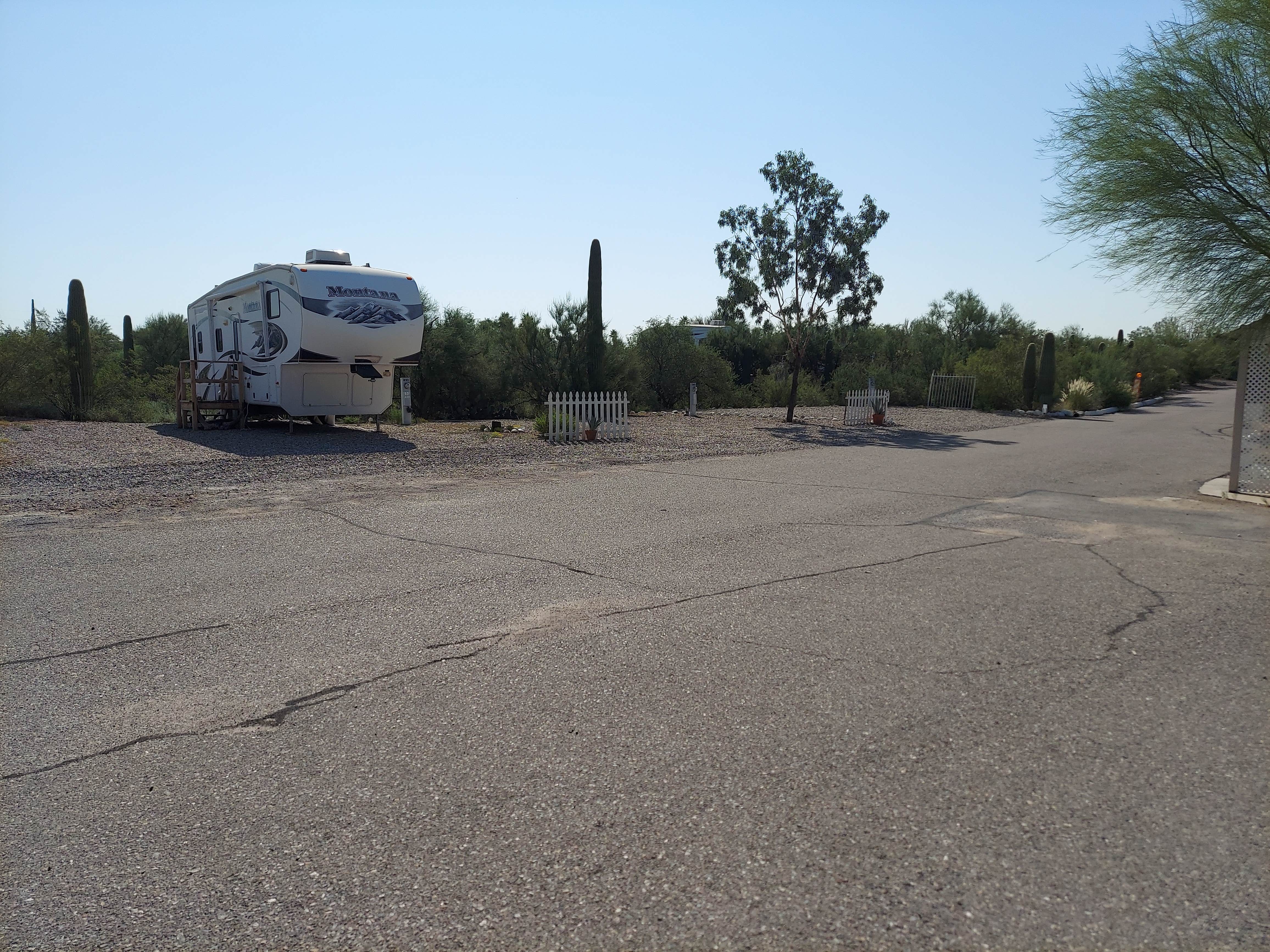 Norrie W.'s photo of rv camping at Justin's Diamond J RV Park near Oro Valley, AZ