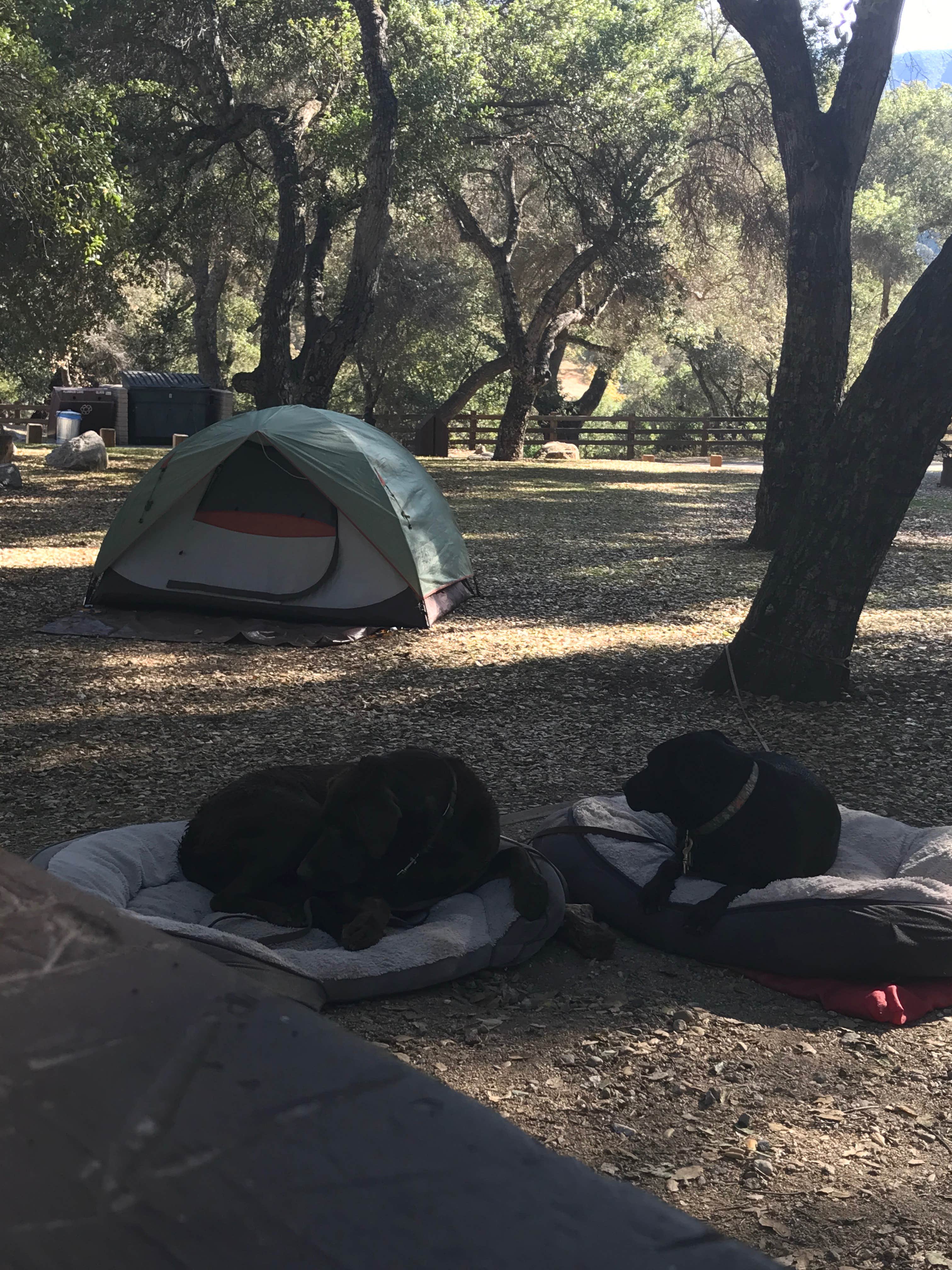 Camper submitted image from Arroyo Seco - 3