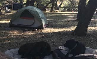 Darin D.'s photo at Arroyo Seco near Soledad, CA