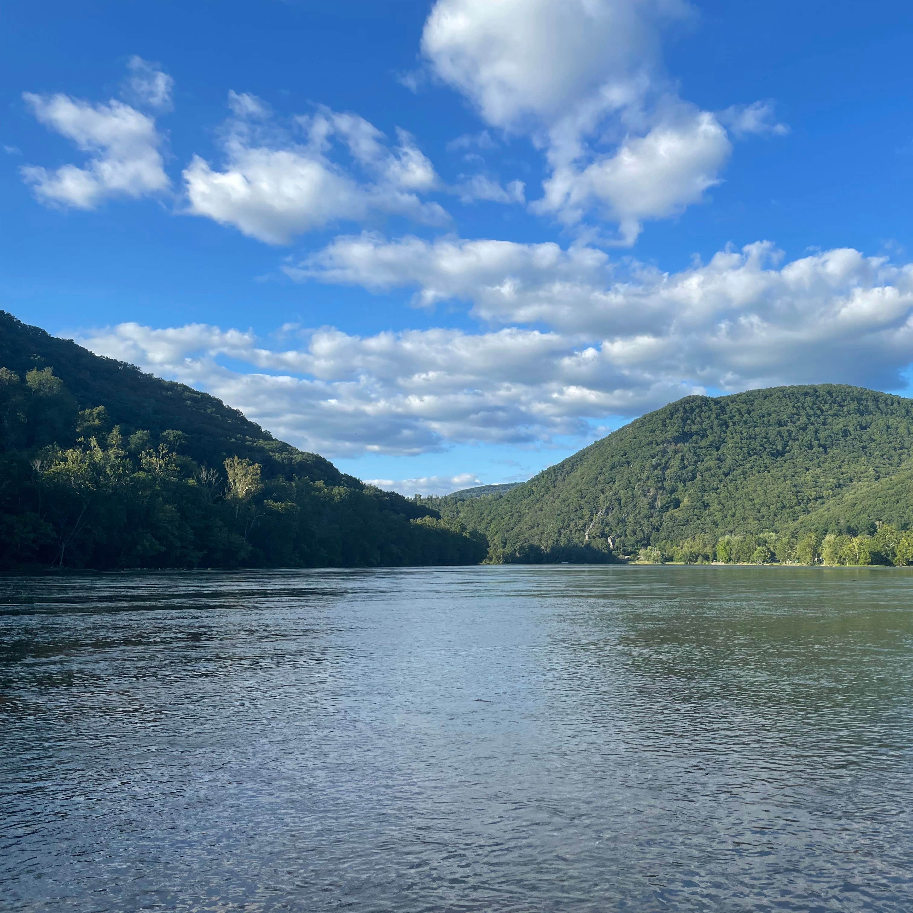 New River Junction Campground Camping The Dyrt