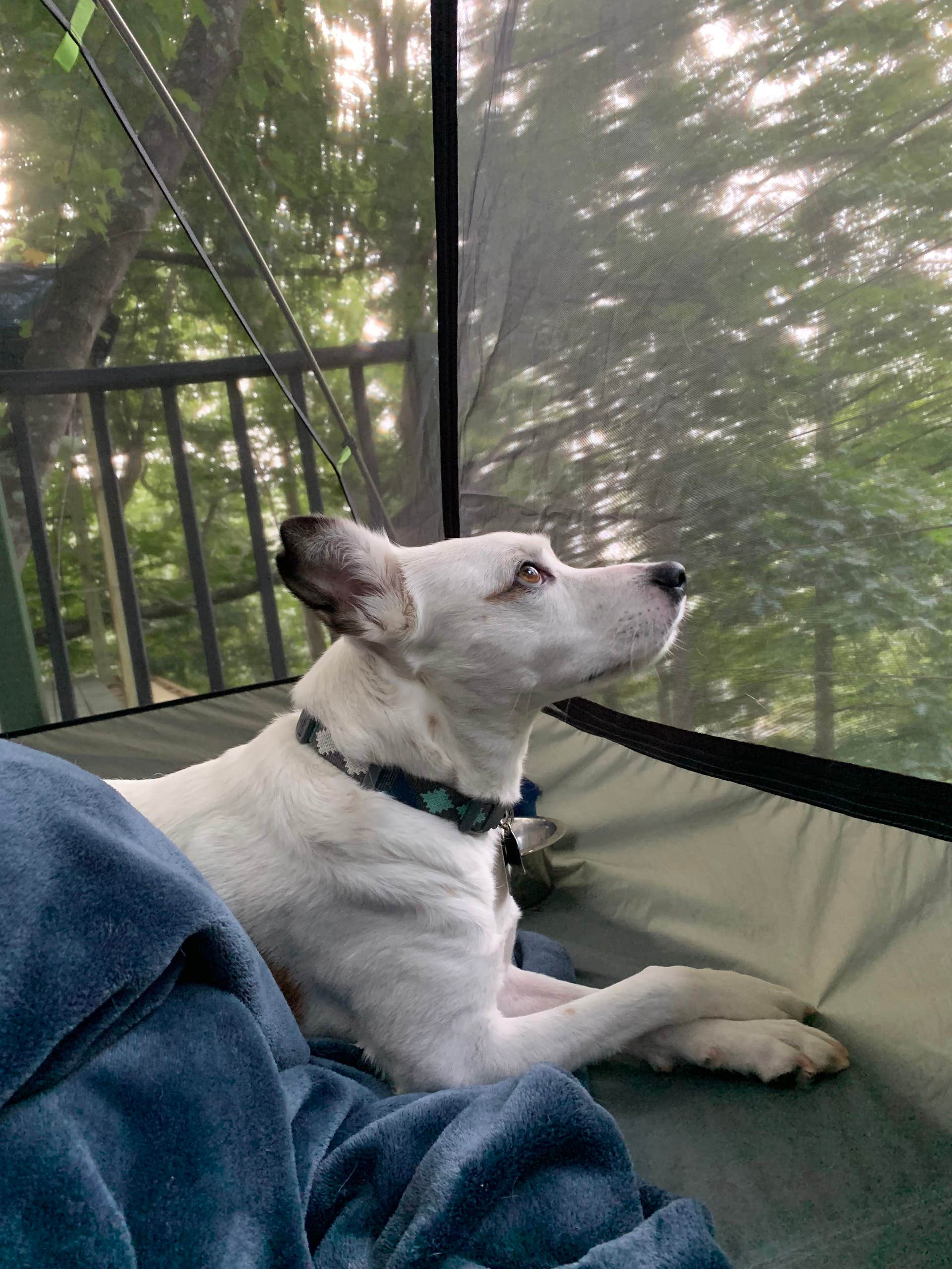Camper submitted image from Floating Heaven - 2