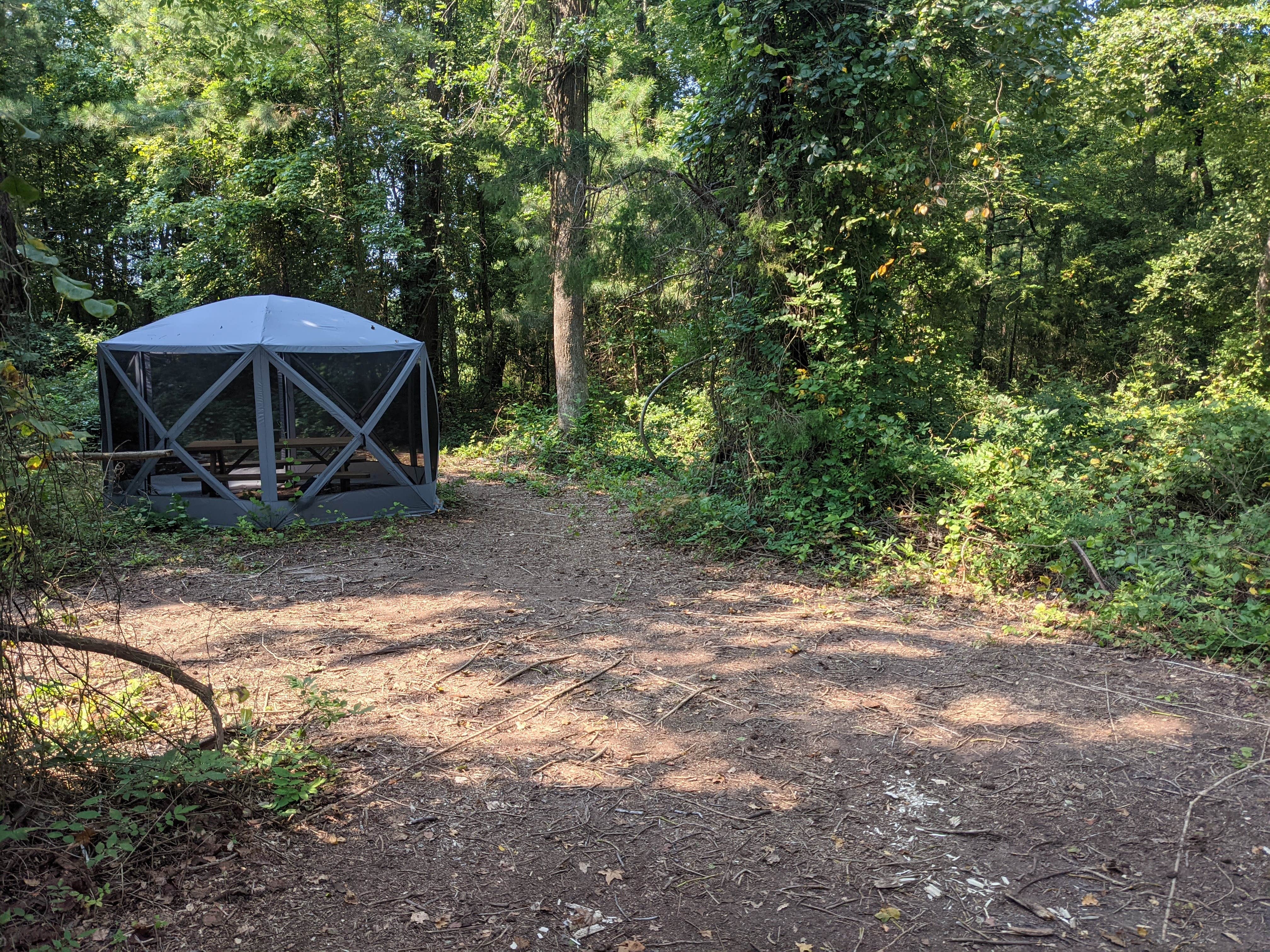 Kat H.'s photo of tent camping at Wisteria Beach Hideaway near Lanexa, VA