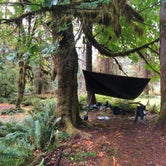 Review photo of Hoh Campground — Olympic National Park by Morgan M., September 15, 2021