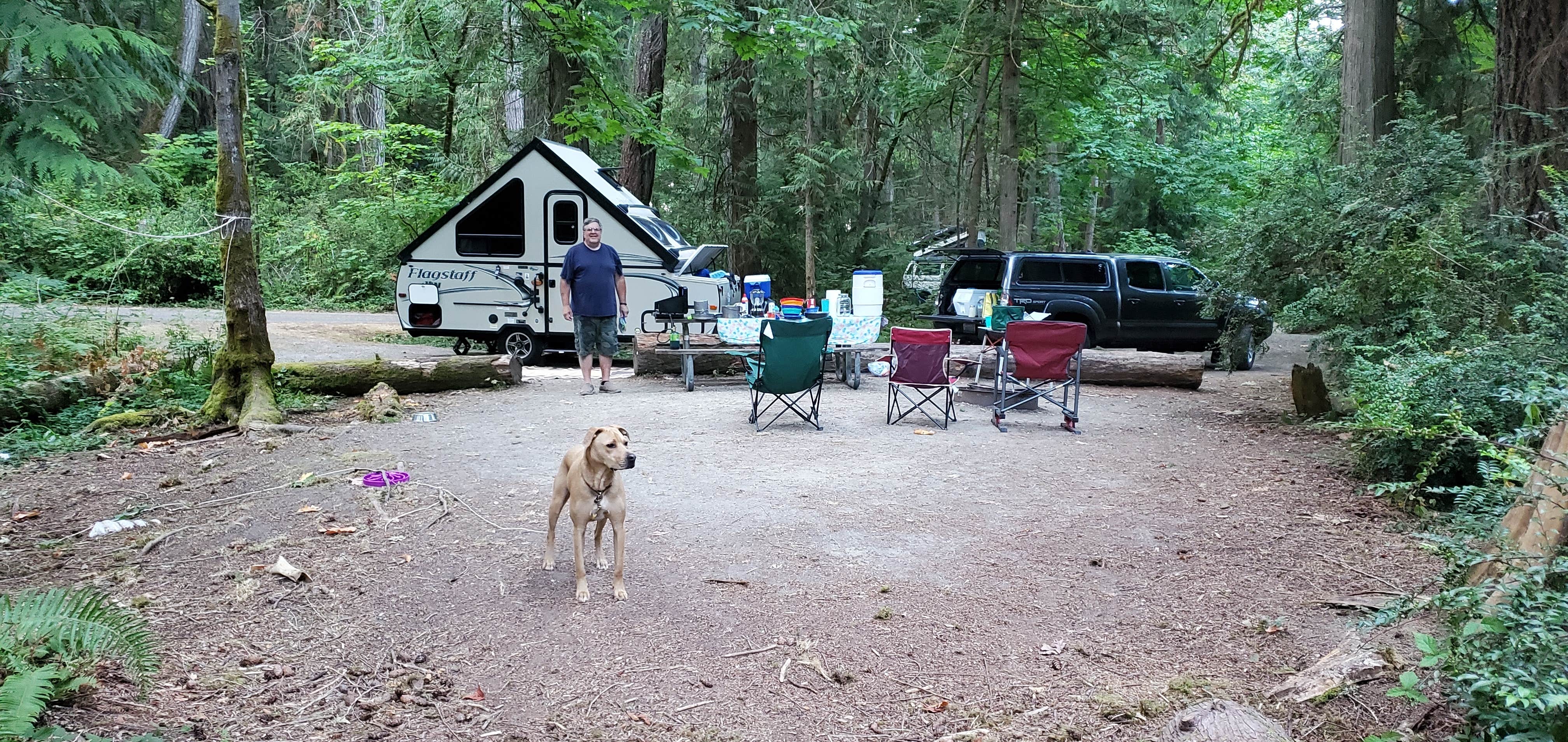 Patti C.'s photo of camping with pets at Penrose Point State Park Campground near Tacoma, WA