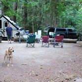 Review photo of Penrose Point State Park Campground by Patti C., September 15, 2021