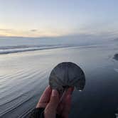 Review photo of Kalaloch Campground - group — Olympic National Park by Morgan M., September 15, 2021