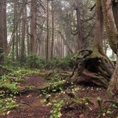 Review photo of Kalaloch Campground - group — Olympic National Park by Morgan M., September 15, 2021