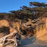 Review photo of Kalaloch Campground - group — Olympic National Park by Morgan M., September 15, 2021