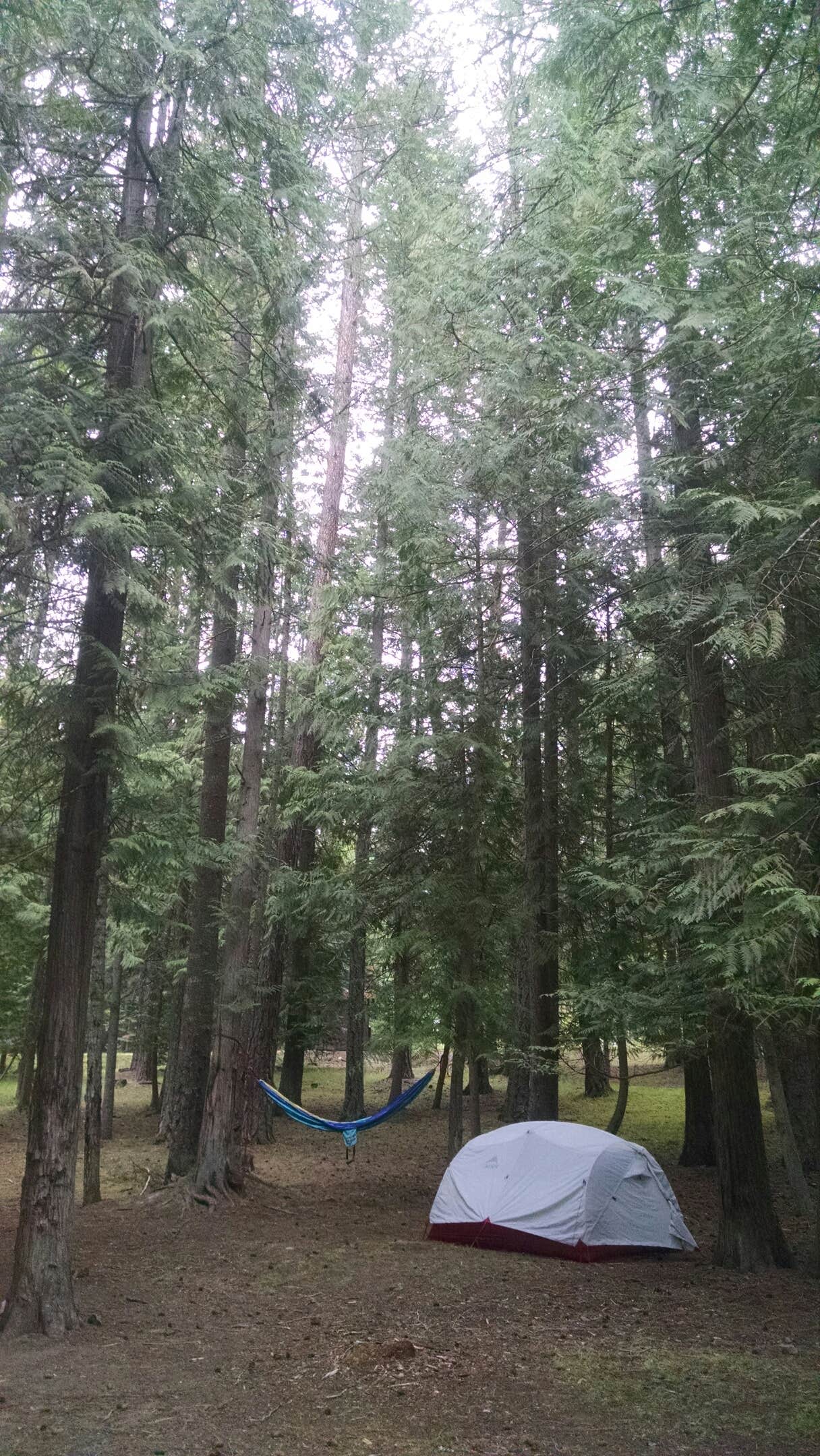 Chris M.'s photo at Sam Owen Camnpground near Kaniksu National Forest