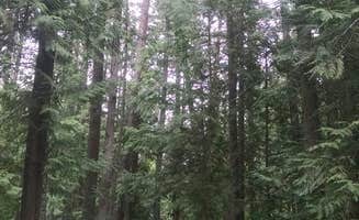 Chris M.'s photo at Sam Owen Camnpground near Idaho Panhandle National Forests