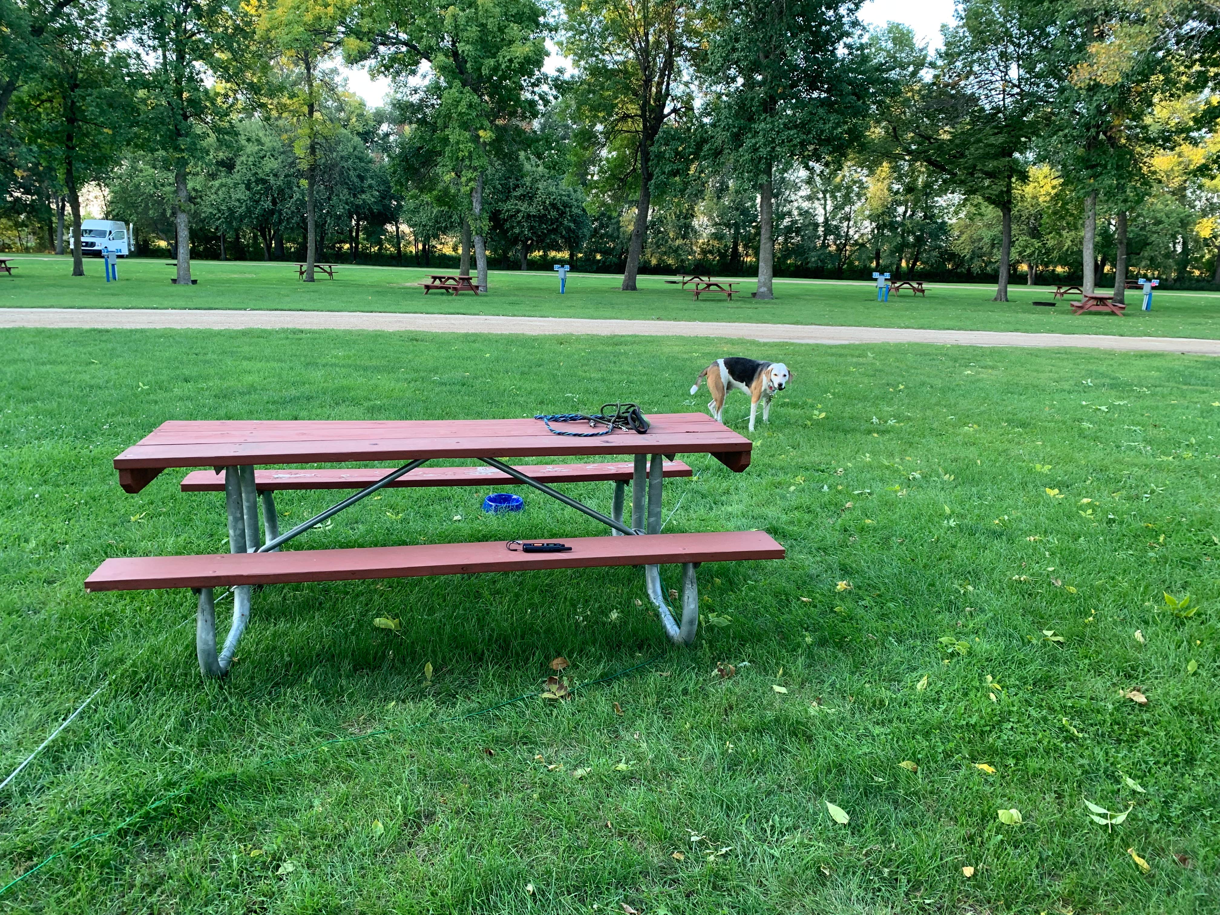 Eileen's photo of camping with pets at Adrian City Park near Pipestone, MN