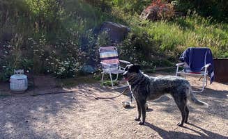 Tammy S.'s photo of camping with pets at Redstone Campground near Glenwood Springs, CO