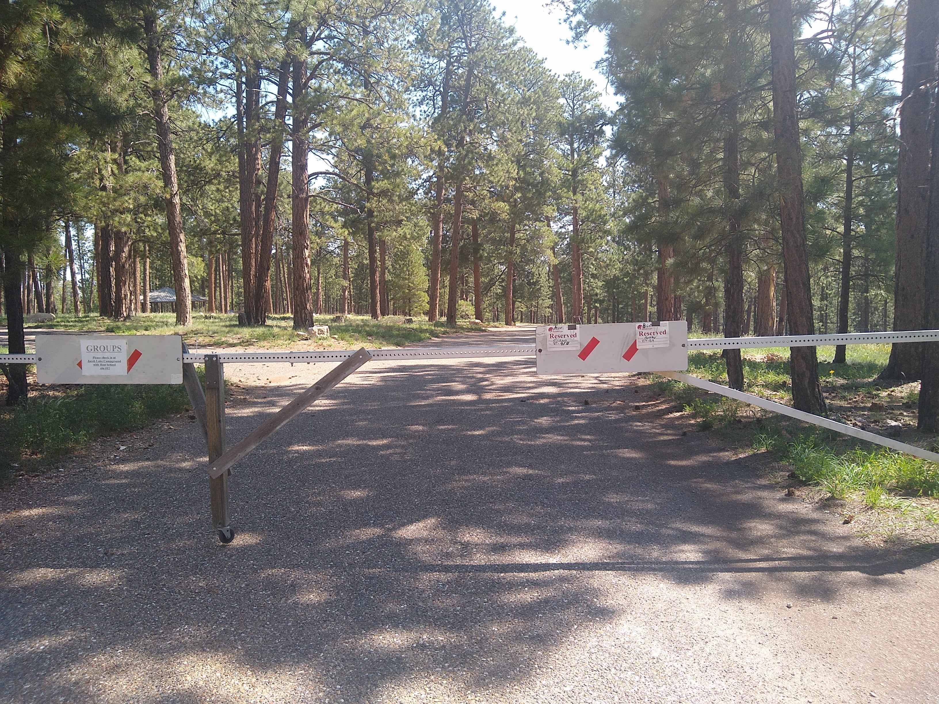 Camper submitted image from Jacob Lake Group Campground and Picnic Area - 4