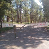 Review photo of Jacob Lake Group Campground and Picnic Area by Greg L., September 16, 2021