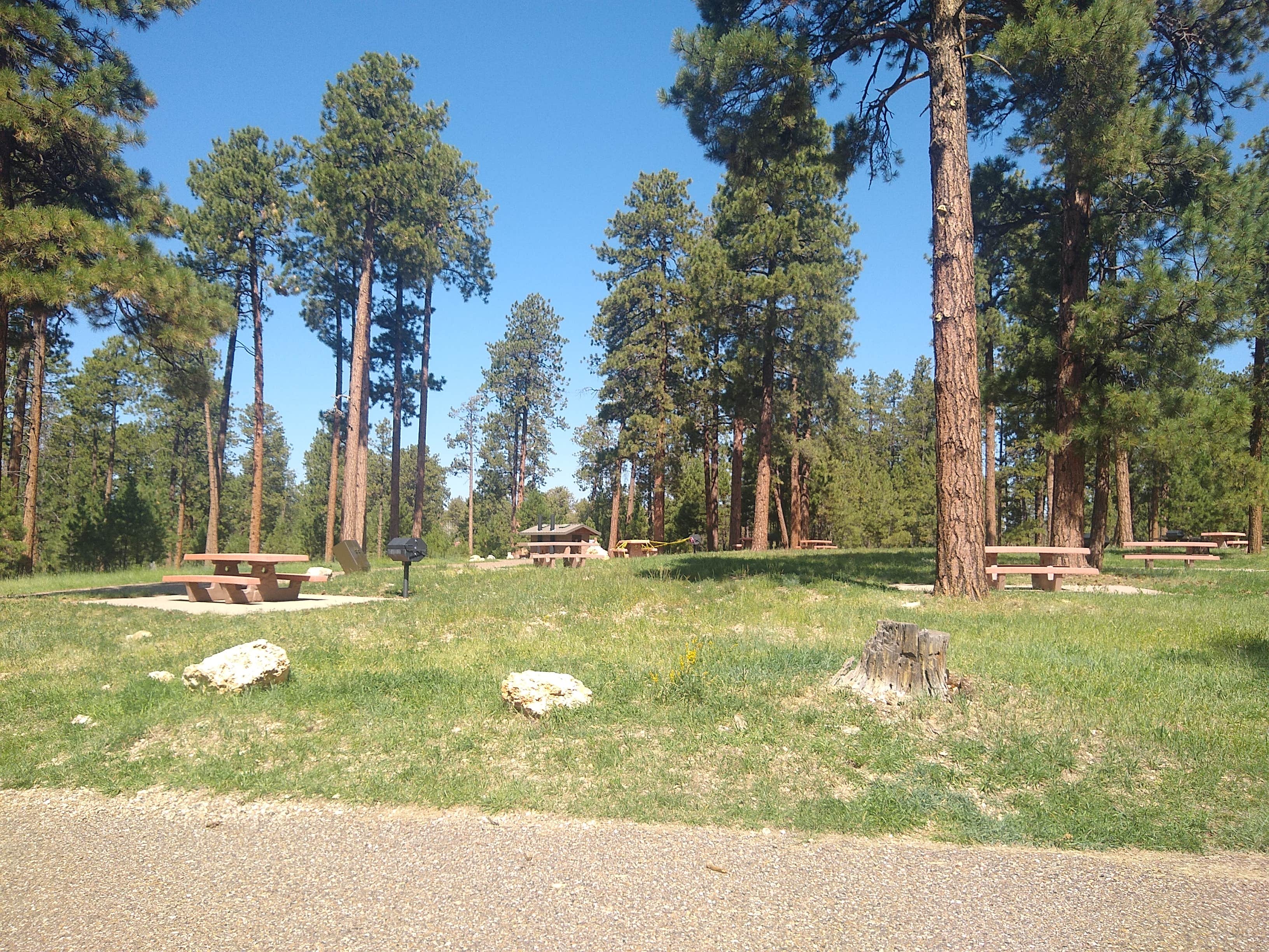 Camper submitted image from Jacob Lake Group Campground and Picnic Area - 2