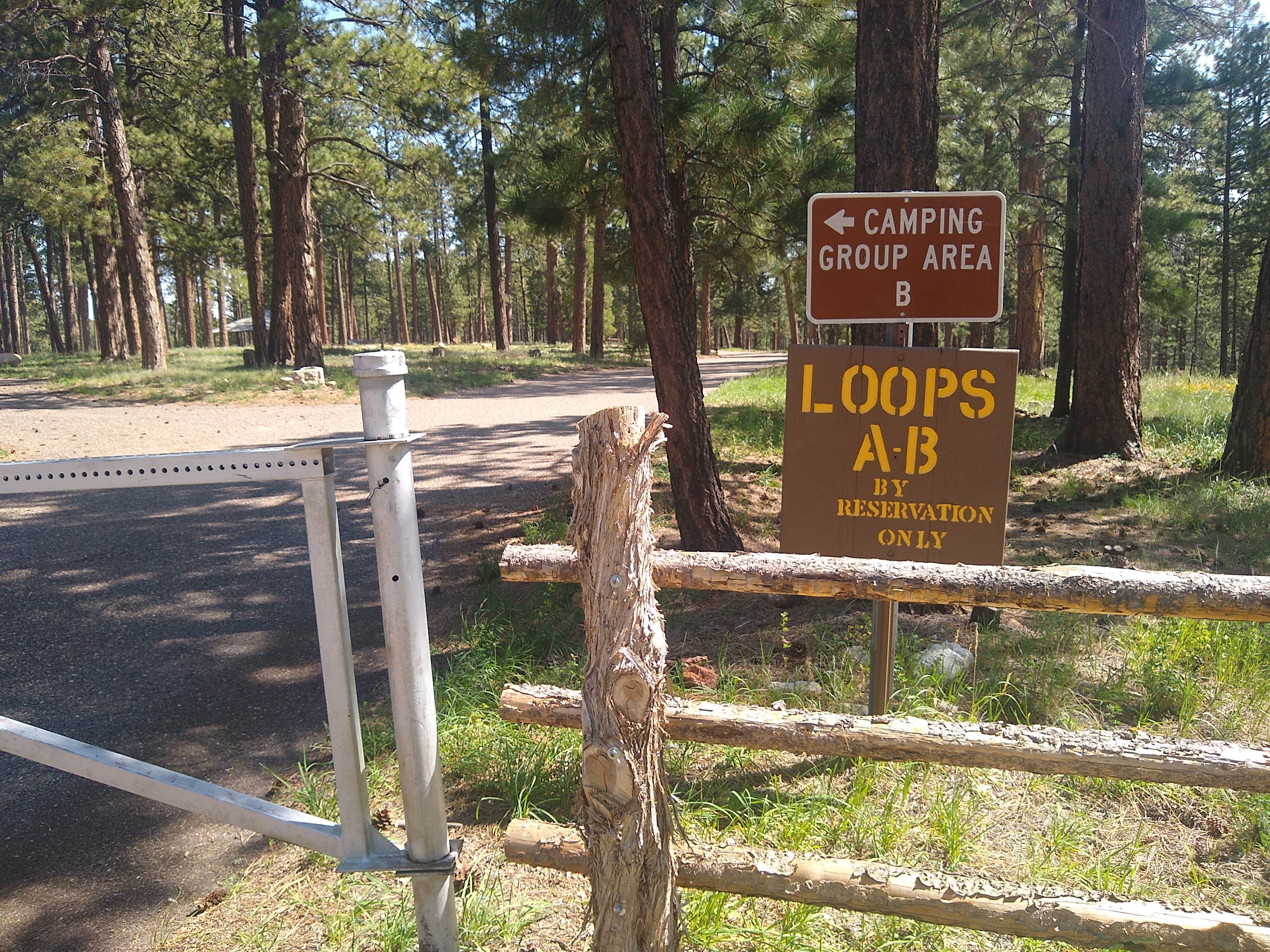Camper submitted image from Jacob Lake Group Campground and Picnic Area - 4