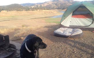 Darin D.'s photo at New Hogan Lake - COE/Acorn West near Wallace, CA