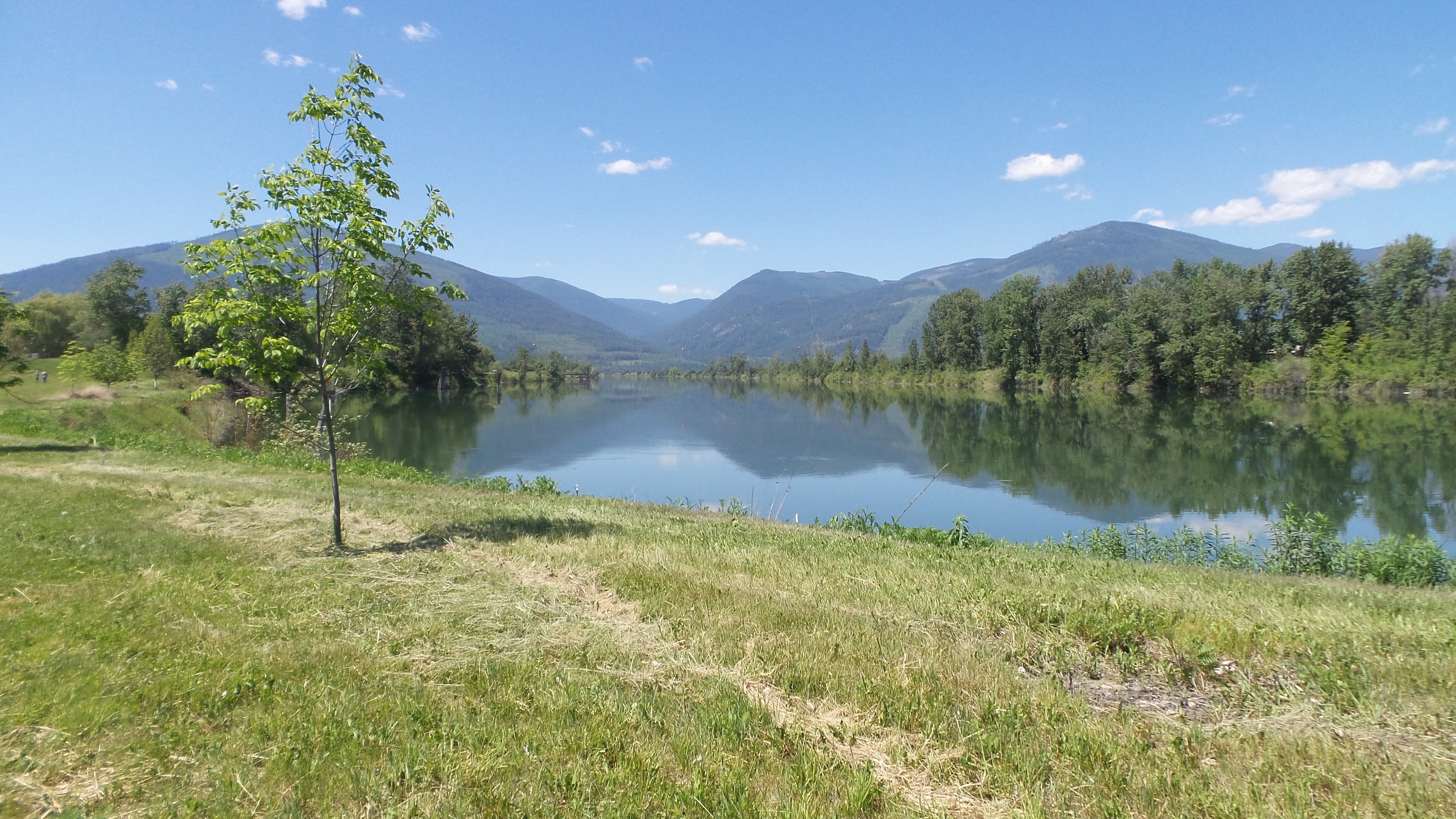 Camper submitted image from Kootenai River Water Front at Jake's Landing - 1