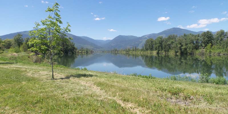 Camper submitted image from Kootenai River Water Front at Jake's Landing