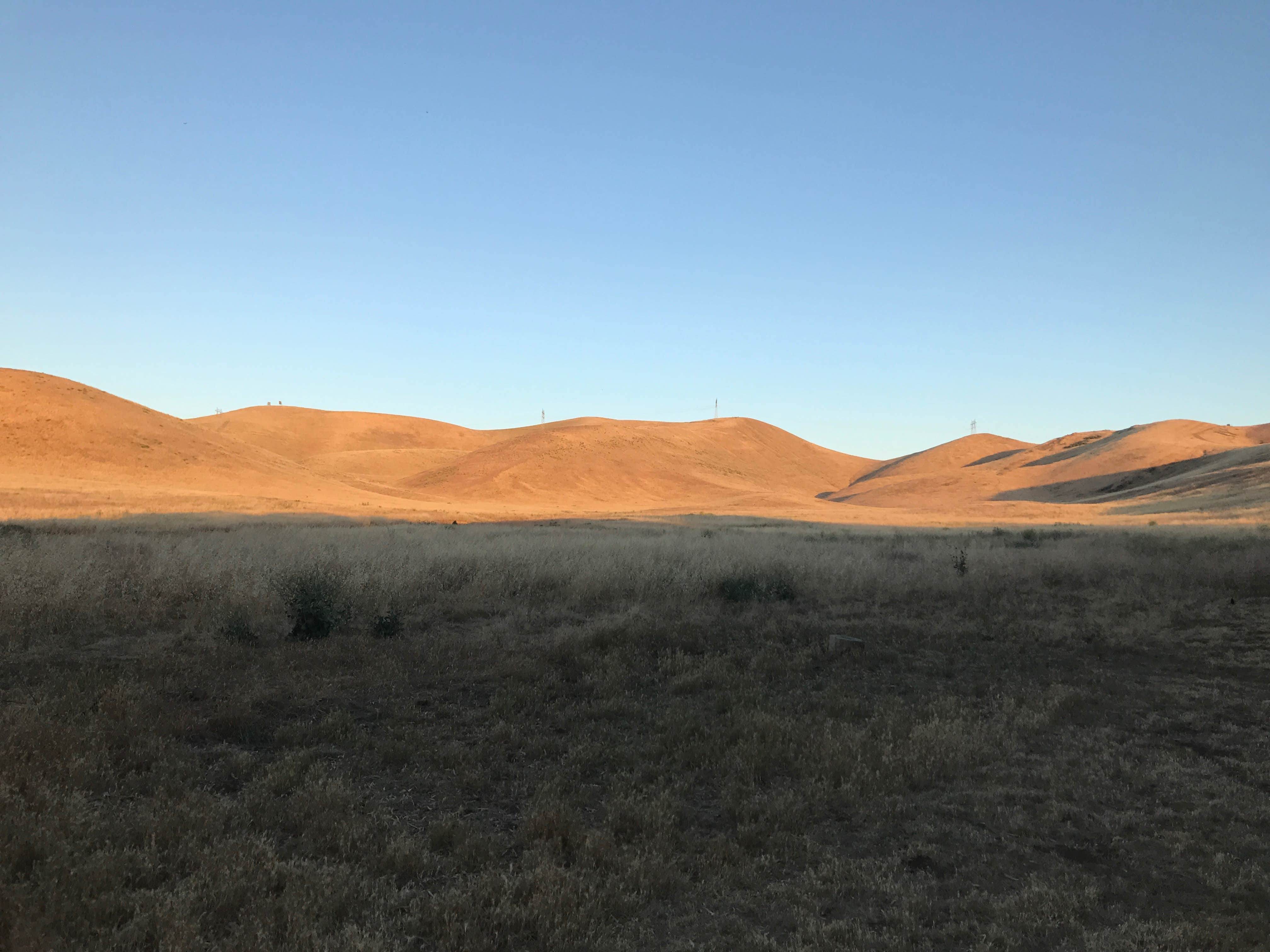 Camper submitted image from Basalt Campground — San Luis Reservoir State Recreation Area - 2
