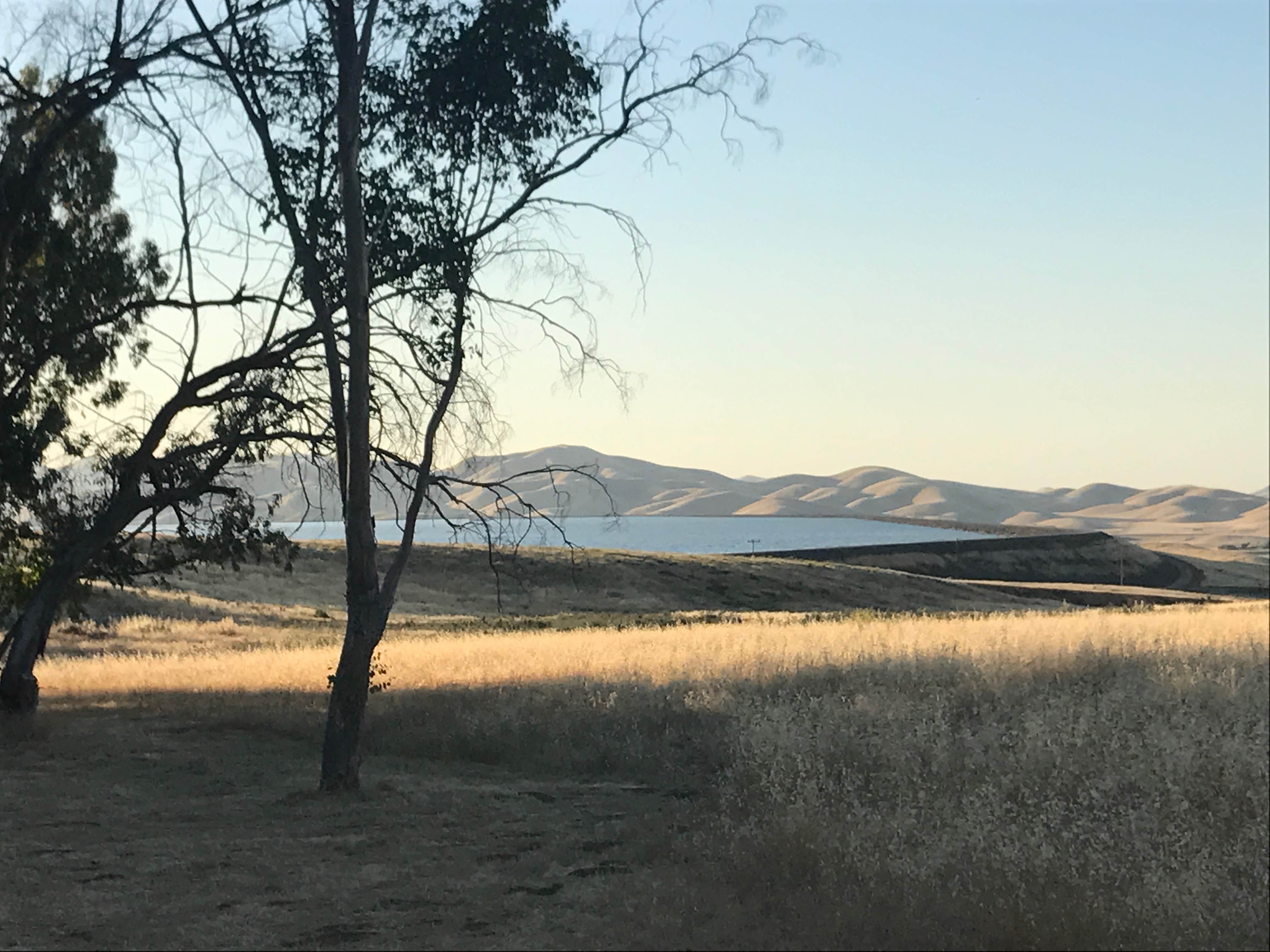 Camper-submitted photo at Basalt Campground — San Luis Reservoir State Recreation Area near Gustine, CA