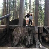 Review photo of North Grove Campground — Calaveras Big Trees State Park by Lisa C., September 16, 2021