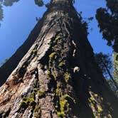 Review photo of North Grove Campground — Calaveras Big Trees State Park by Lisa C., September 16, 2021