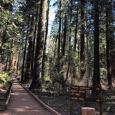 Review photo of Calaveras Big Trees State Park Campground by Lisa C., September 16, 2021