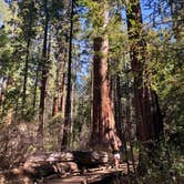 Review photo of North Grove Campground — Calaveras Big Trees State Park by Lisa C., September 16, 2021