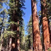 Review photo of North Grove Campground — Calaveras Big Trees State Park by Lisa C., September 16, 2021