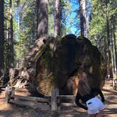 Review photo of North Grove Campground — Calaveras Big Trees State Park by Lisa C., September 16, 2021