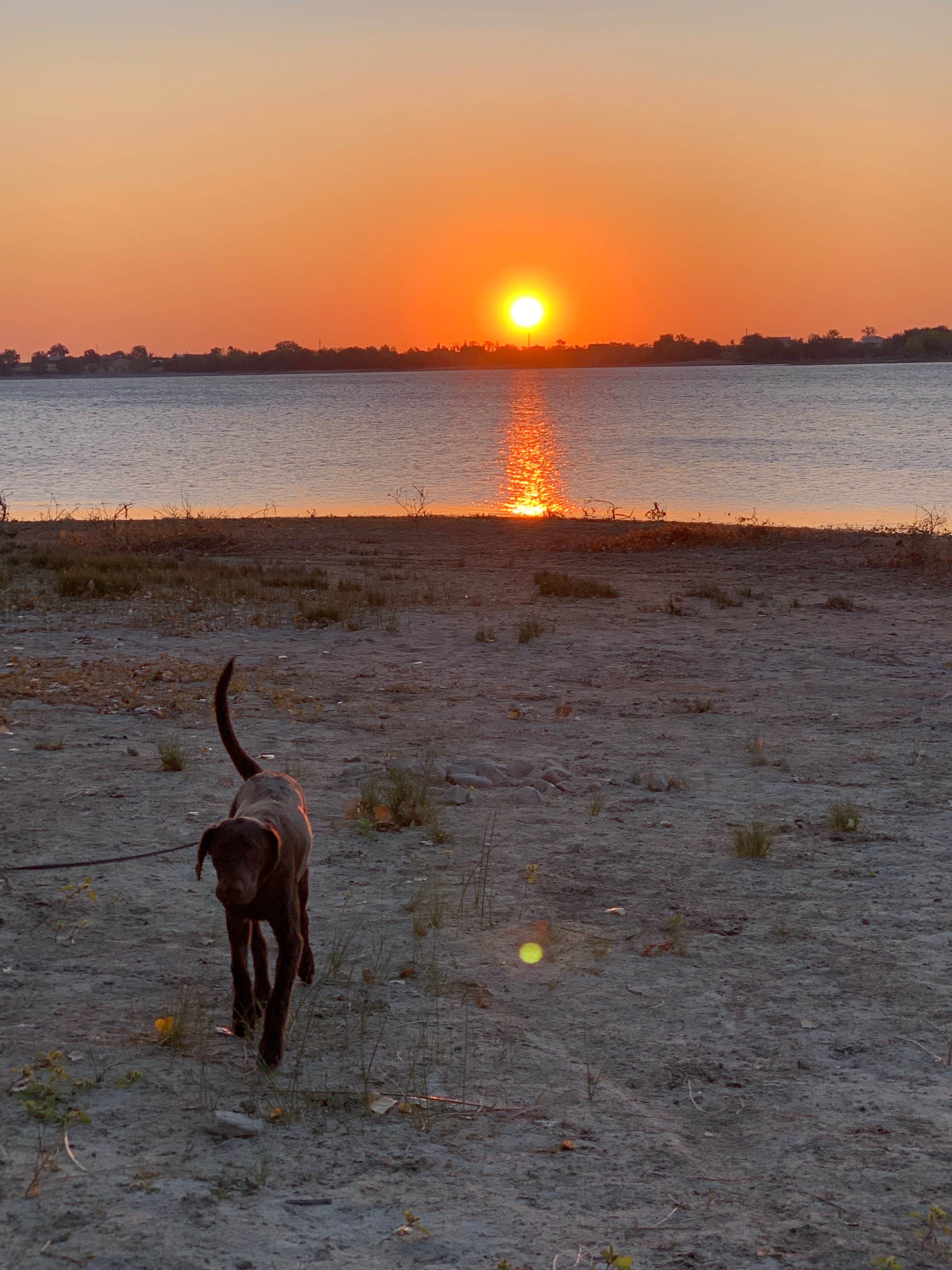 Camper submitted image from Wheatland Reservoir #1 - Public Access Area - 3