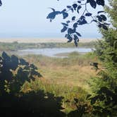 Review photo of Gold Bluffs Beach Campground — Prairie Creek Redwoods State Park by Darin D., June 29, 2018