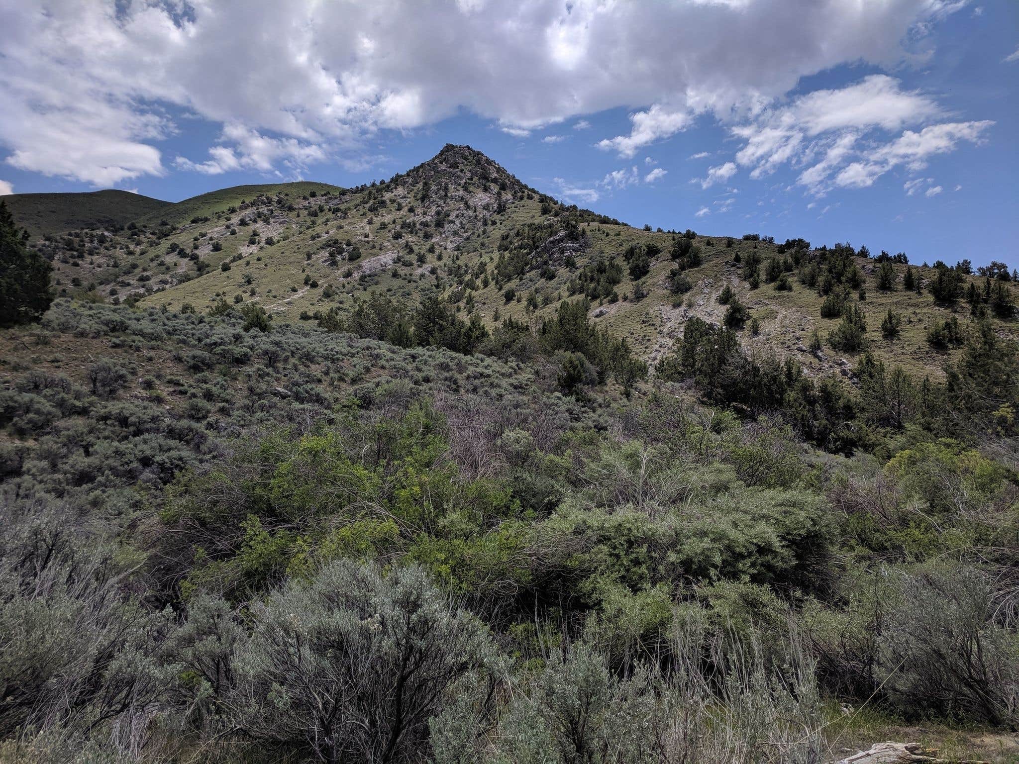 Camping near Cooper Cove: Sonoma Canyon, Winnemucca, Nevada