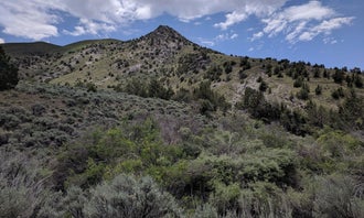 Camping near Rye Patch State Recreation Area: Sonoma Canyon, Winnemucca, Nevada