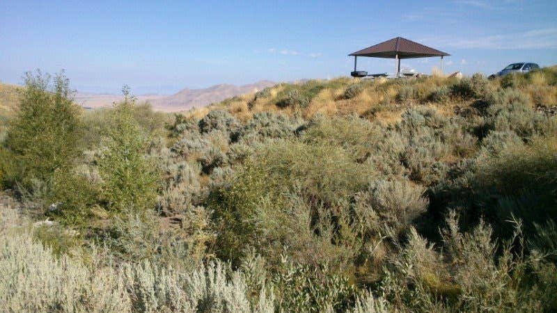 Camper-submitted photo at Sonoma Canyon near Battle Mountain, NV