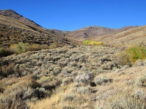 Camper-submitted photo at Sonoma Canyon near Battle Mountain, NV