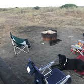 Review photo of Gold Bluffs Beach Campground — Prairie Creek Redwoods State Park by Darin D., June 29, 2018