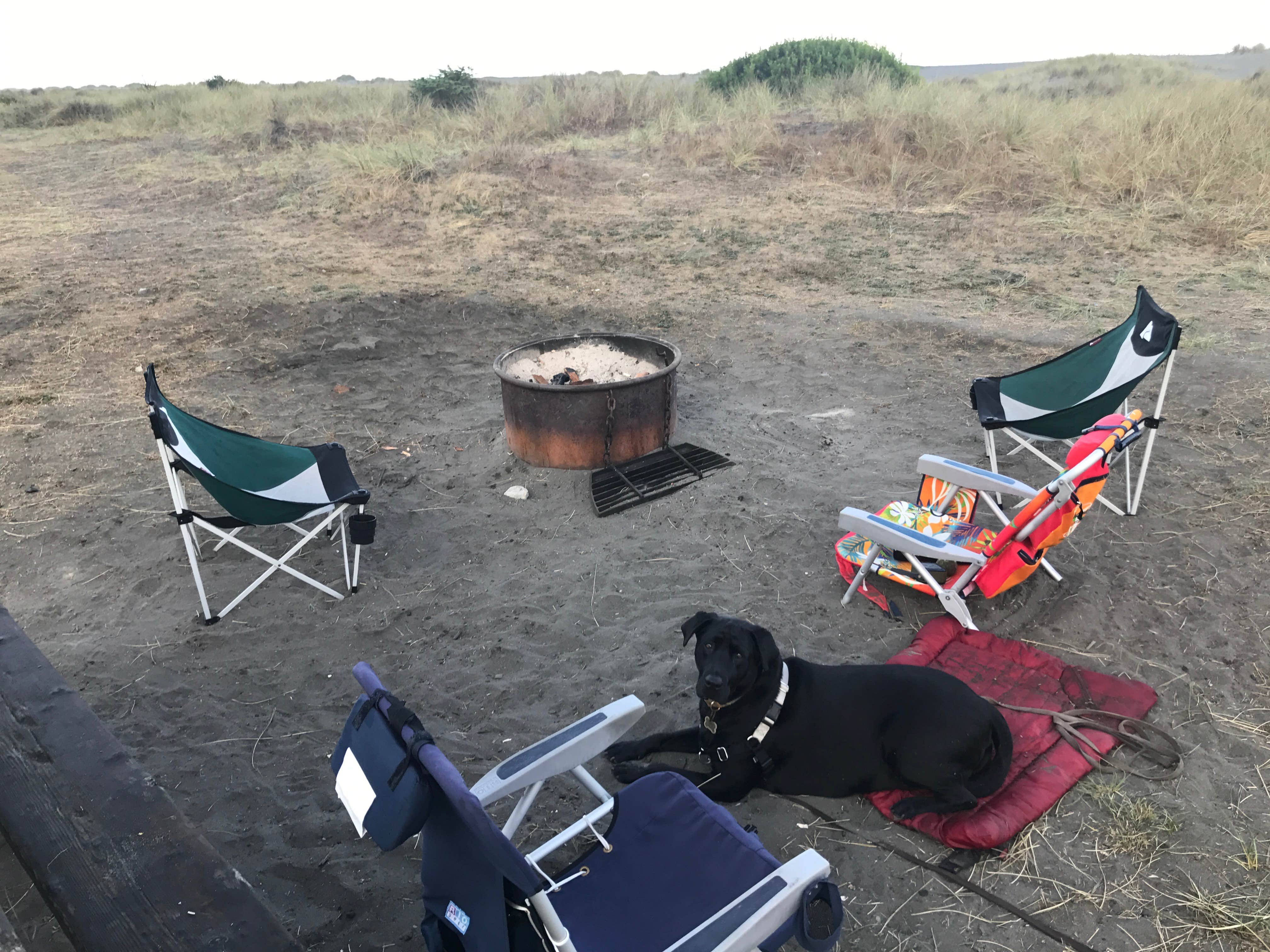 Camper submitted image from Gold Bluffs Beach Campground — Prairie Creek Redwoods State Park - 4