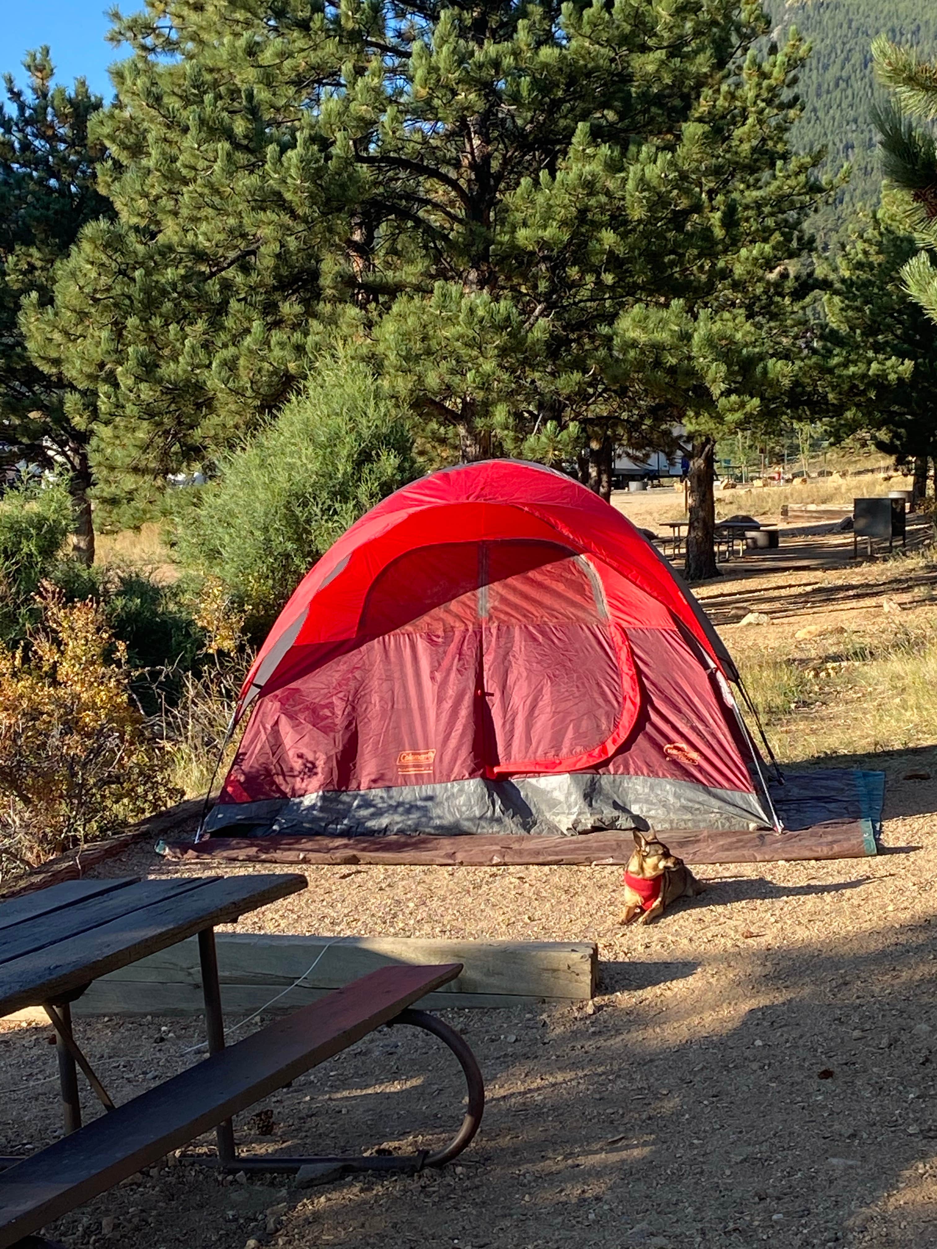 theresa's photo at Estes Park Campground at Mary's Lake near Glen Haven, CO