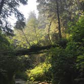 Review photo of Gold Bluffs Beach Campground — Prairie Creek Redwoods State Park by Darin D., June 29, 2018